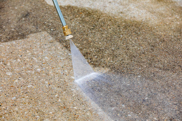 Best Driveway Pressure Washing  in Heyworth, IL